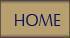 home button